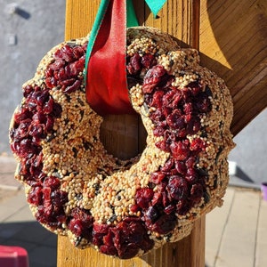 Handmade Hearty Bird Seed Wreaths!