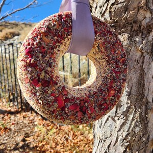 Handmade Hearty Bird Seed Wreaths!