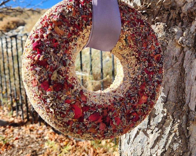 Handmade Hearty Bird Seed Wreaths!