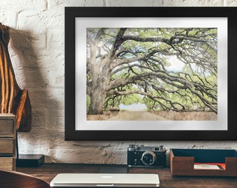 Century Tree Watercolor, Aggie Artwork, Aggie Gift, Aggie Traditions, Texas A&M Artwork, Aggie Wedding Print