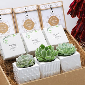 May include: A brown gift box filled with four small white pots containing green succulents. The box also contains four small white envelopes with the text "Sara's Garden Tea" printed on them. The box is decorated with brown straw.