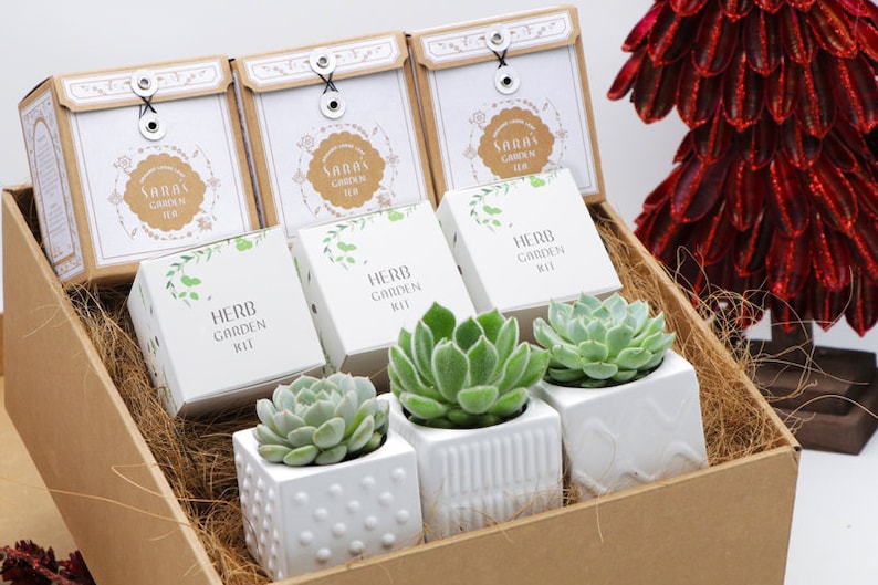 May include: A brown gift box filled with four small white pots containing green succulents. The box also contains four small white envelopes with the text "Sara's Garden Tea" printed on them. The box is decorated with brown straw.
