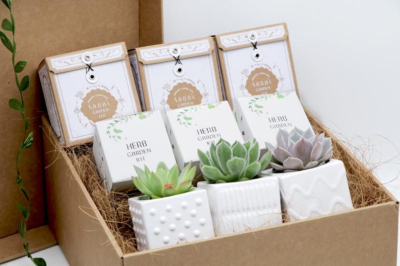 May include: A brown cardboard box filled with small white pots containing succulents. Each pot has a label that reads "Herb Garden Kit". The box also contains three small white envelopes with the text "Sara's Garden" on them.