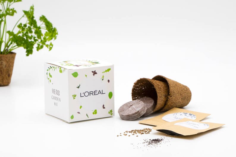 May include: A white box with the text "HERB GARDEN KIT" and "L'OREAL" on it. The box contains three small brown pots, three seed discs, and two packets of seeds. The box is on a white surface.