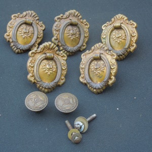 May include: Six antique brass cabinet knobs with ornate floral designs and ring pulls. The knobs are accompanied by six screws.
