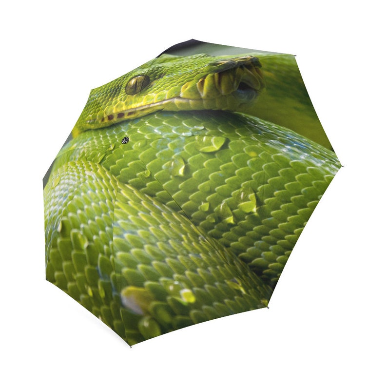 Reptile Gift Umbrella with Python Snake