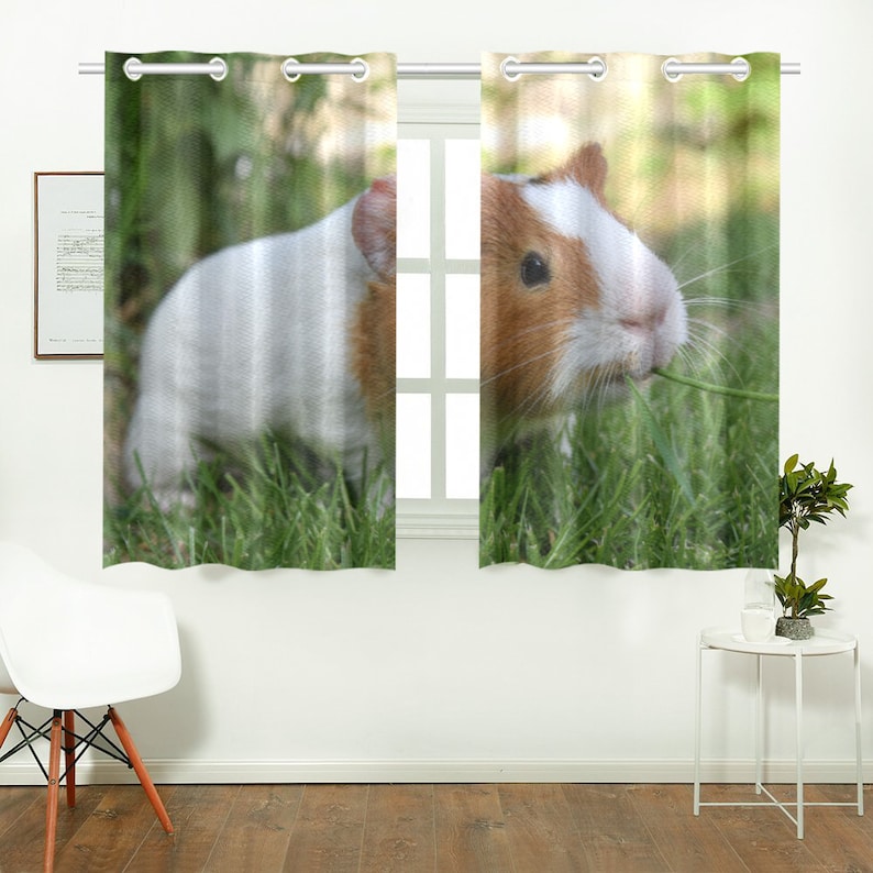 Curtain with Guinea Pig Pet Gift for Living Room or Kitchen