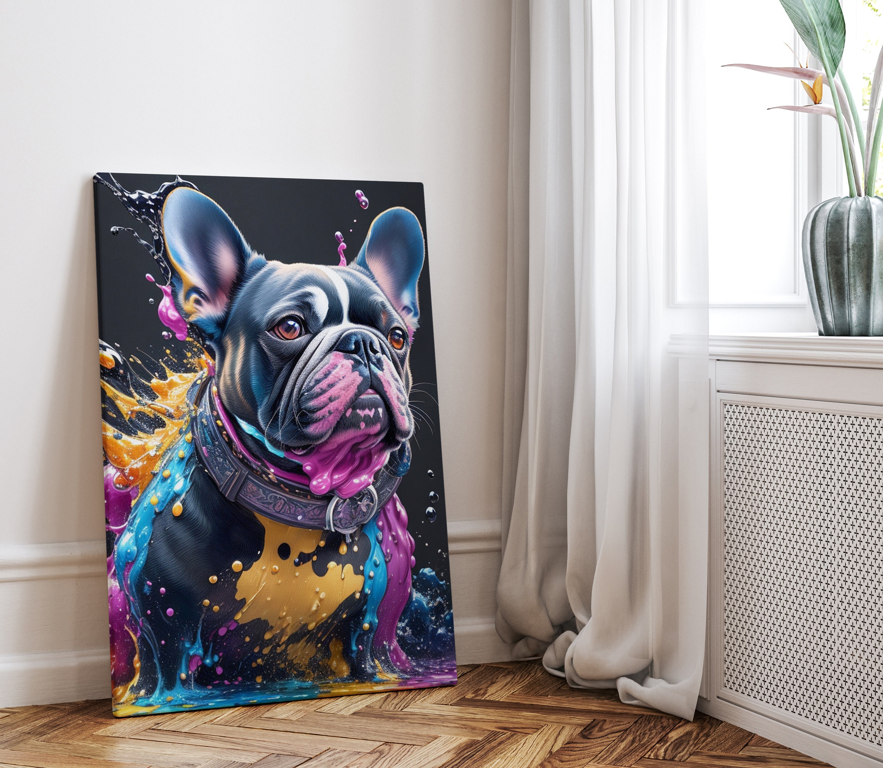 Französische bulldogge bild