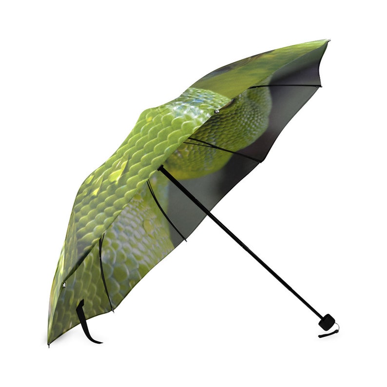 Reptile Gift Umbrella with Python Snake