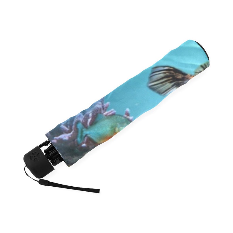 Umbrella with fish fish aquarium sea freshwater coral