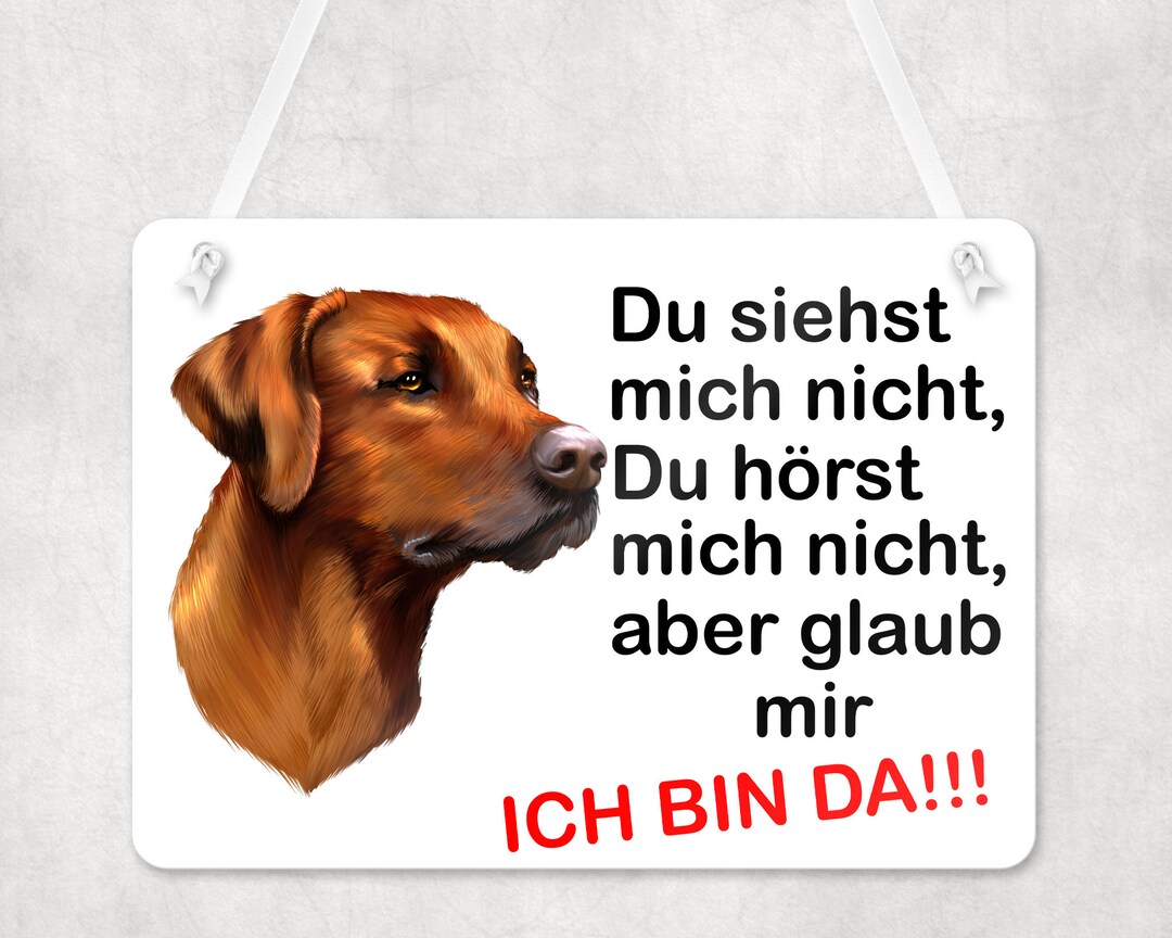 Door Sign Entrance Sign Sign With Rhodesian Ridgeback Dog Decoration ...