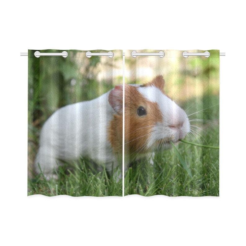 Curtain with Guinea Pig Pet Gift for Living Room or Kitchen