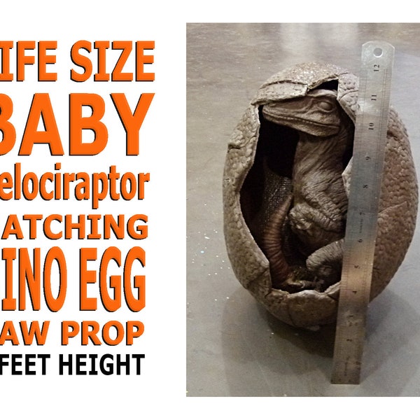 New Express Shipment for Baby Velociraptor Hatching Egg
