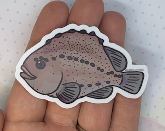 Pacific Spiny Lumpsucker fish sitting on aquatic snail 3 inch waterproof vinyl sticker