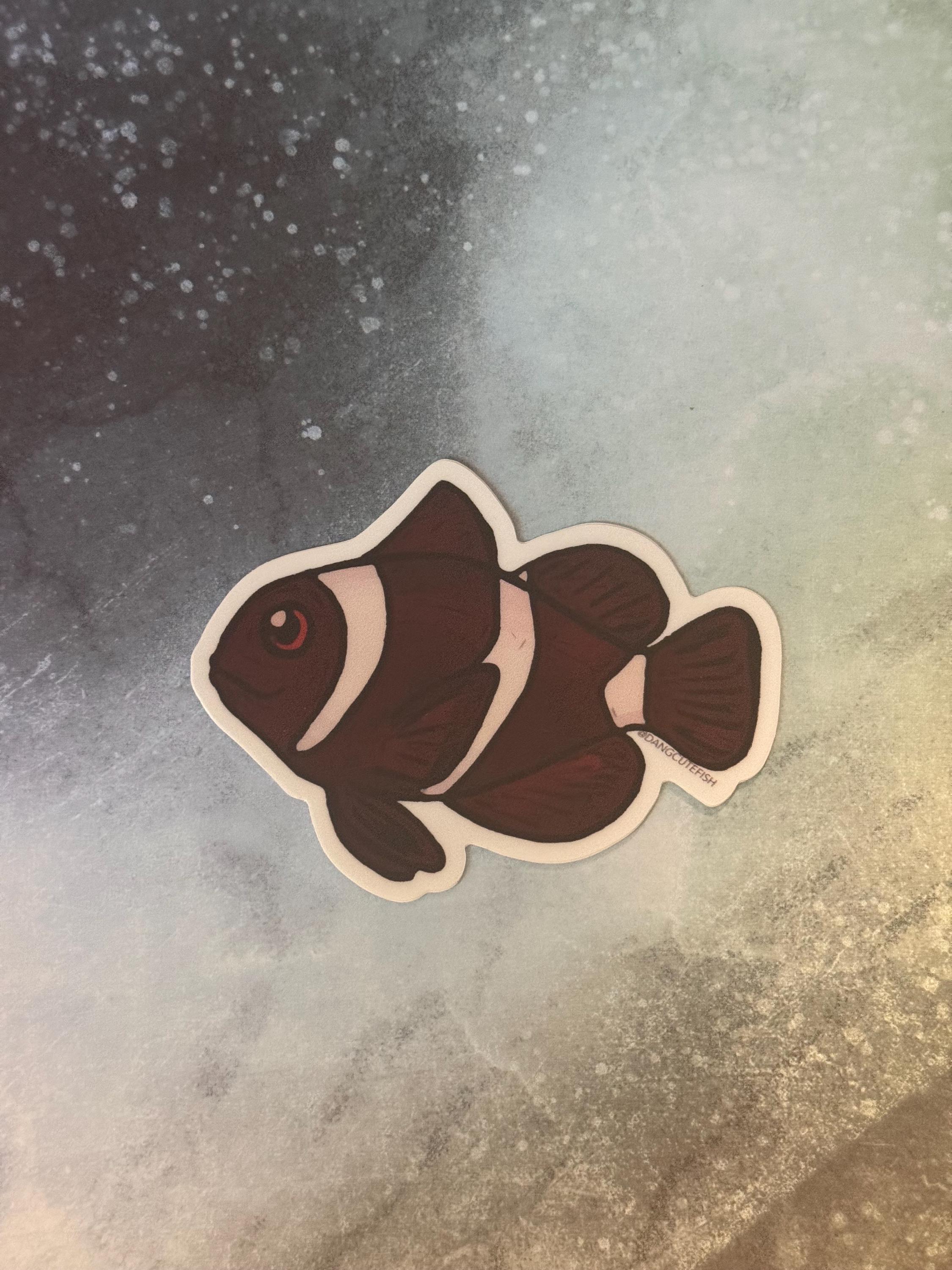Maroon Clownfish Sticker, Ocellaris Sticker, Anemonefish Sticker ...