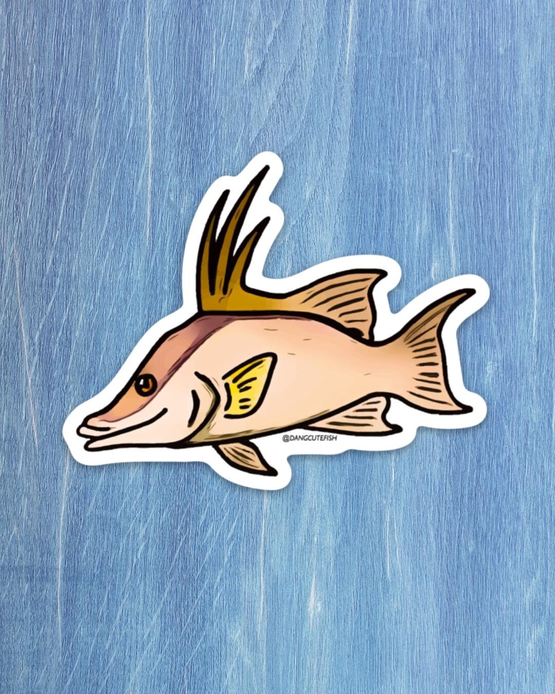 Hoverfish Sticker Rooster Hogfish Sticker, Fish Sticker, Gift, Aquarist - Etsy