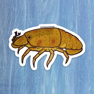 Slipper Lobster sticker, Crustacean Sticker, aquarist sticker, Invertebrate Sticker
