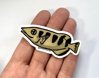 Archerfish Sticker (1) - matte vinyl sticker, Archer Fish, Spitting Fish, Aquarist Sticker, Gift