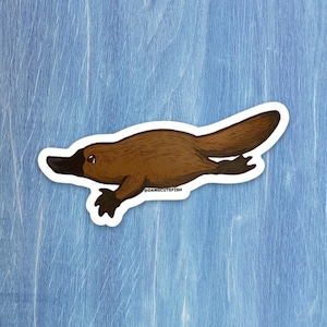 Platypus Sticker, Platypus gift, aquarist gift, aquarist sticker, Australia sticker