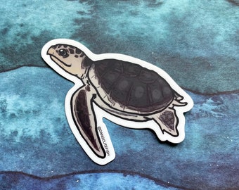 Vinyl Sticker (1) - Kemps Turtle Sticker, Gift, Sea Turtle Aquarist