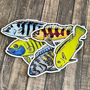 Matte vinyl sticker set (5) - lake Malawi cichlid sticker, cichlid stickers, cichlid gift