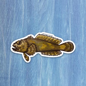 Oyster Toadfish Sticker, Oyster Toadfish Gift, Aquarist Sticker, Aquarist Gift, Fish Sticker