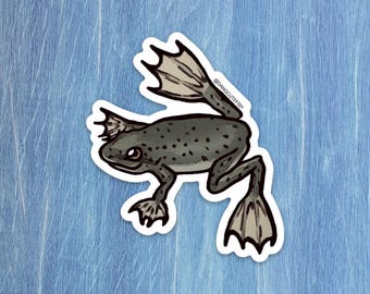 African Dwarf Frog Sticker - Aquatic Frog, gift, aquarist, herpetologist, Amphibian, Reptile Keeper, Herp