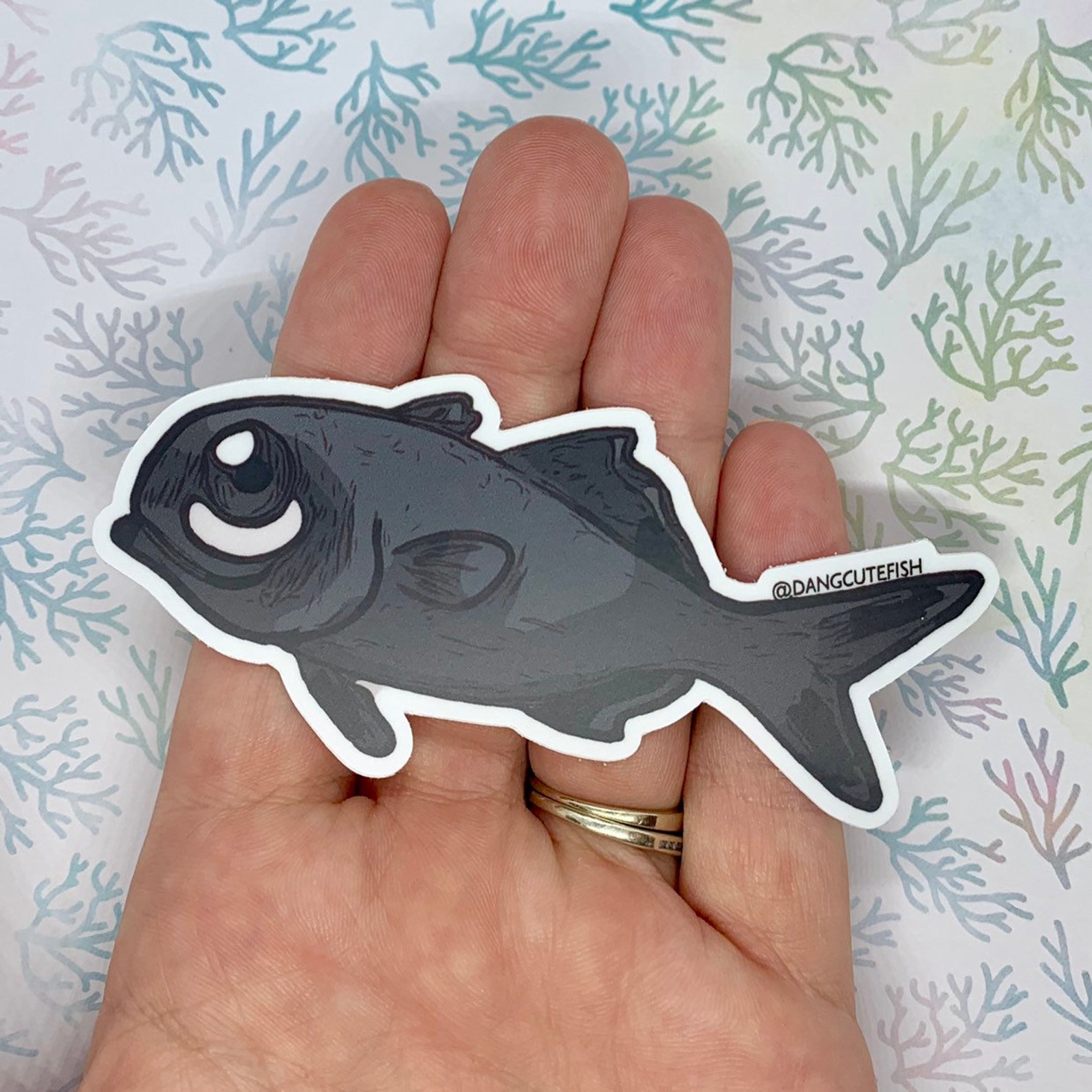 Matte Coated Vinyl Sticker - Flashlight Fish, Great for Fans of ...