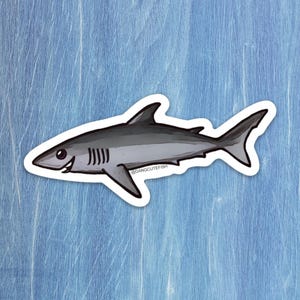 Mako Shark sticker - elasmobranch, shark gift, dang cute fish