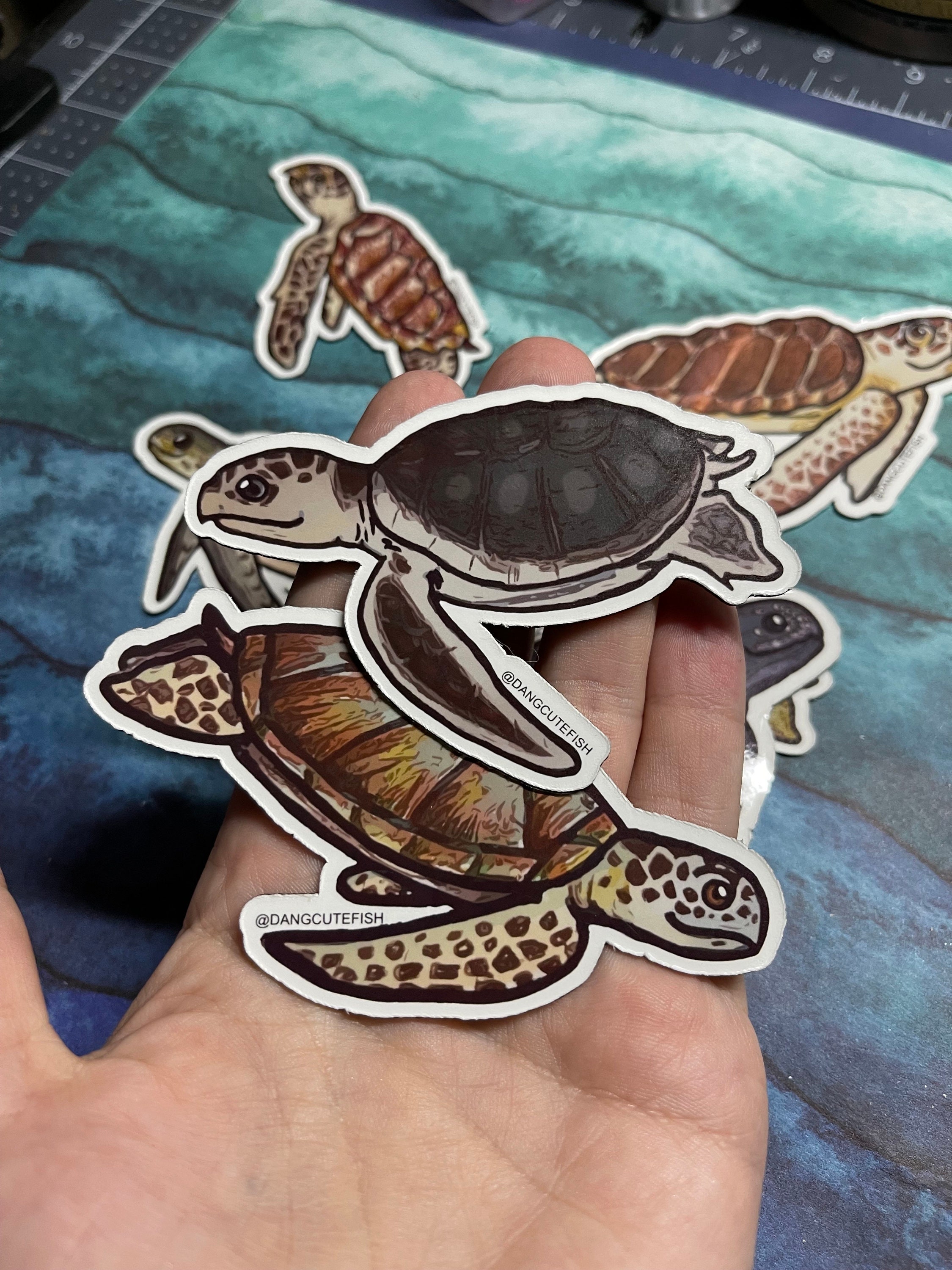 Magnet Set - 7 Sea Turtles! Loggerhead, Green, Hawksbill, Kemps