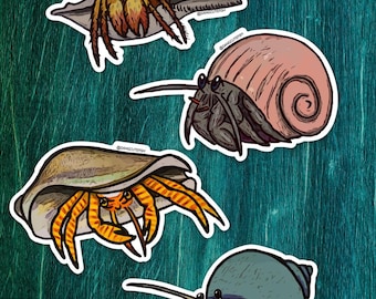 4 Hermit Crab Magnet Set - Halloween hermit, land hermit, striped, hairy leg, crustacean
