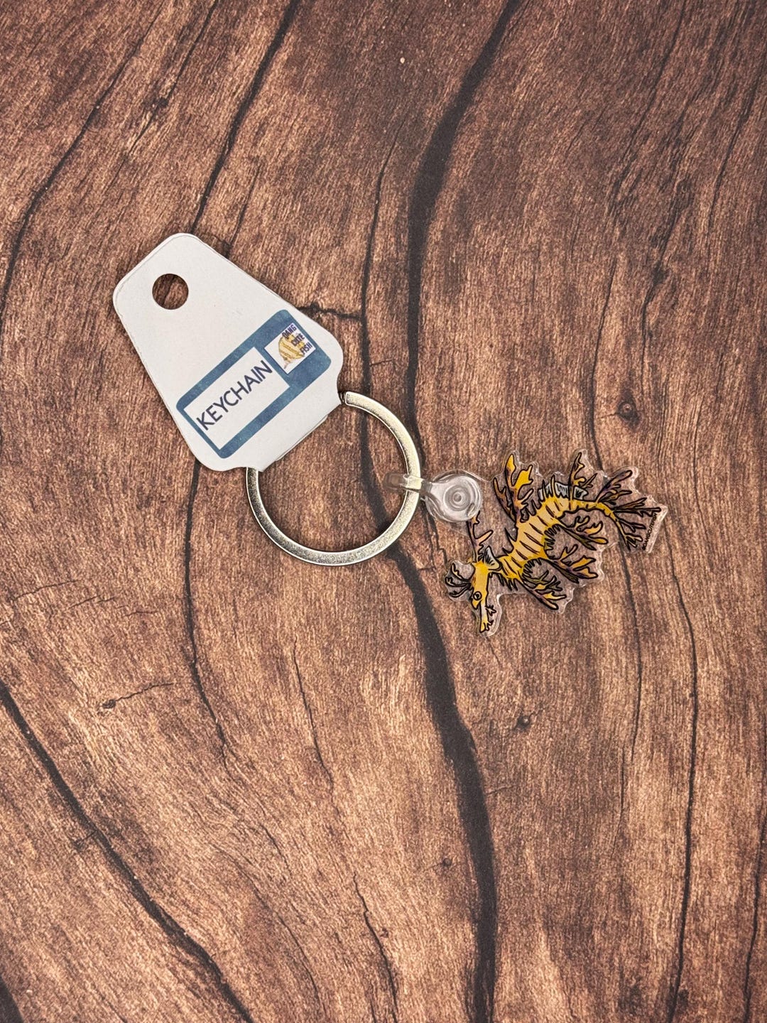 Leafy Seadragon Keychain - Fish Key Chain, Aquarist Keychain ...