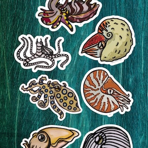 Könnte beinhalten: Eine Sammlung farbenfroher Aufkleber mit Meeresbewohnern, darunter Tintenfische, Oktopusse und Nautilus. Die Aufkleber zeigen detaillierte Illustrationen mit weißem Rand, die verschiedene Farben und Muster zeigen. Die Aufkleber befinden sich auf einem türkisfarbenen Hintergrund.