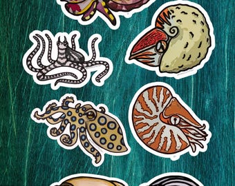 Puede incluir: Una colección de pegatinas de criaturas marinas coloridas, incluyendo una sepia, un pulpo y un nautilus. Las pegatinas presentan ilustraciones detalladas con un borde blanco, mostrando varios colores y patrones. Las pegatinas están sobre un fondo turquesa.