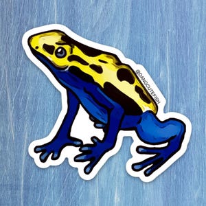 Dart Frog Sticker - gift, aquarist, herpetologist, Amphibian, Reptile Keeper, Herp, Dendrobates
