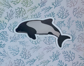 Matte coated vinyl sticker - Commerson's dolphin sticker, Cetacean Sticker, Marine Mammal Sticker,