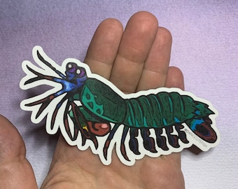 Big Peacock Mantis Shrimp Magnet - great for aquarists, marine biologists, and Ocean lovers