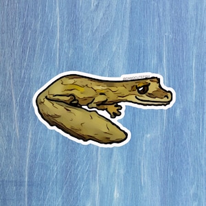 May include: A sticker featuring a cartoon gecko in shades of brown and yellow, outlined in black. The gecko has a smiling expression and the text "@dangcutefish" is visible. The sticker is on a light blue background.