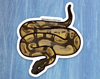 Königspython Aufkleber - Geschenk, Aquarianer, Herpetologe, Schlange, Reptilienpfleger, Herp