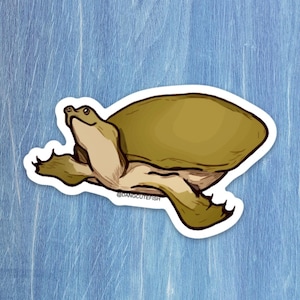 Softshell Turtle Sticker, Gift, aquarist, herpetologist, Turtle, Reptile Keeper, Herp