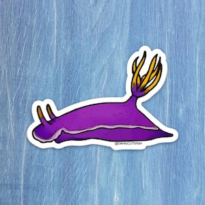 Nudibranch Sticker (1) - matte vinyl sticker, Apolegma Nudibranch, Aquarist Sticker, Gift, purple Nudibranch