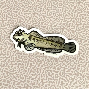 Matte coated vinyl stickers (1) - Lawnmower Blenny Sticker, Nano Tank Sticker, Aquarium Sticker, Aquarist Sticker, Fish Sticker