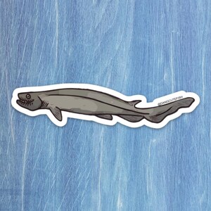 Frilled Shark sticker - elasmobranch, shark gift, dang cute fish