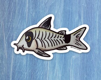 panda corydoras sticker, panda Cory sticker, corydoras catfish, freshwater aquarist, catfish sticker