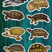 Panic Turtle! - Etsy
