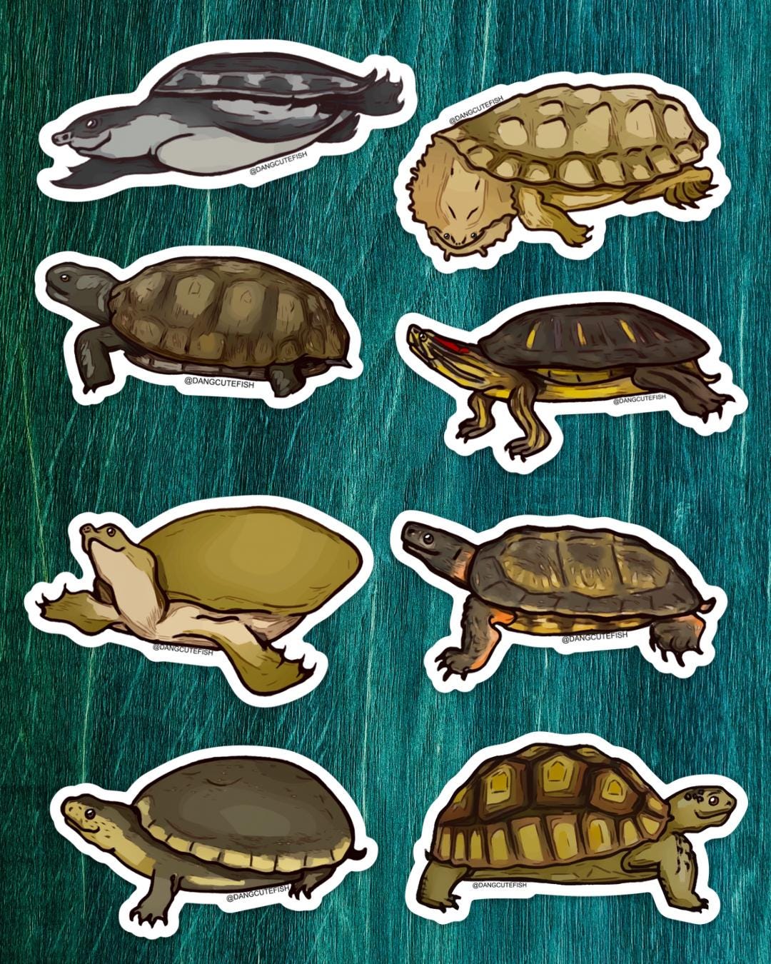 Turtle Races With Magnets 8 Turtle Magnets - Wood Turtle, Mud Turtle, Softshell Turtle, Fly River ...