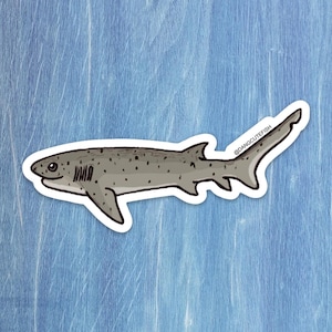 Sevengill Shark sticker - elasmobranch, shark gift, dang cute fish