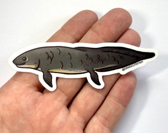 Longvissticker (1) - matte vinylsticker, Aquarist Sticker, Cadeau, longviscadeau