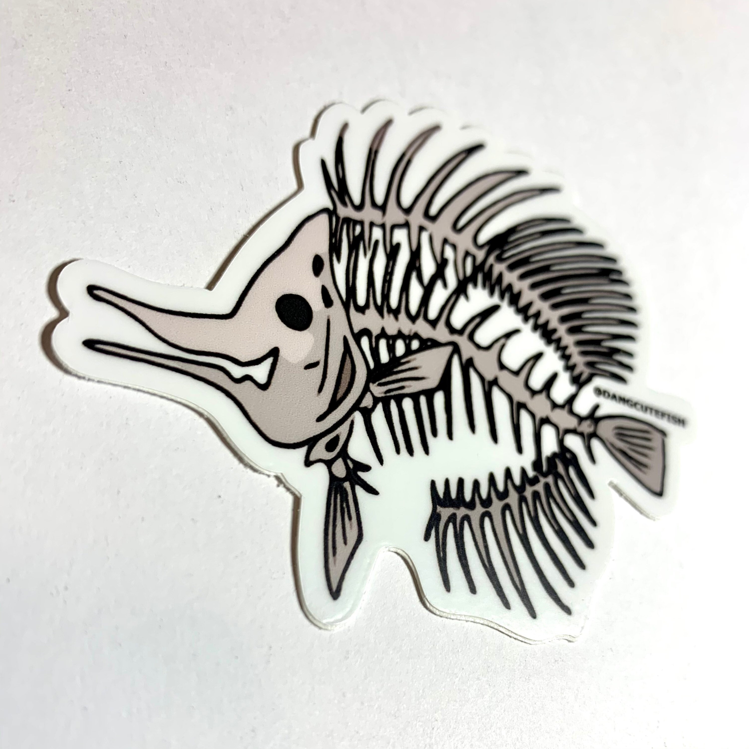 Matte Coated Vinyl Sticker - Copperband Butterflyfish Skeleton, Spooky ...