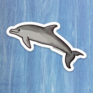 Bottlenose Dolphin sticker, Cetacean Sticker, Marine Mammal Sticker